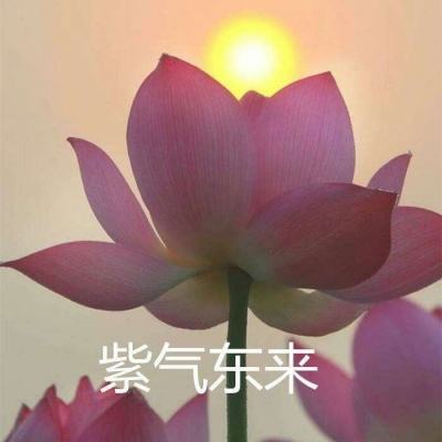 如梦下弦月内测版下载